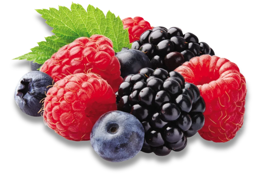 Forest Fruits Flavor - by Brandicate