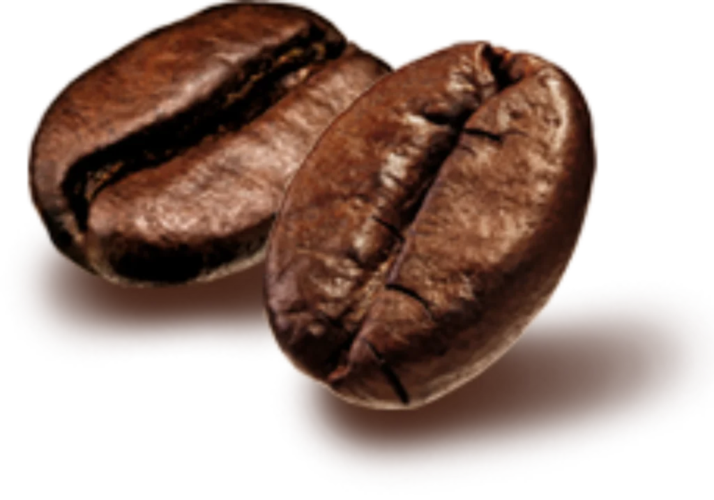 Most Food - Coffee Beans