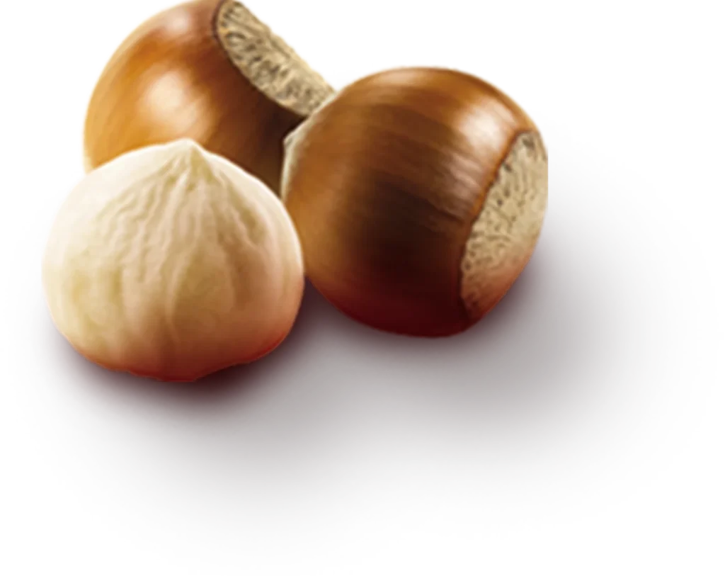 Most Food - Hazelnut Flavor Image